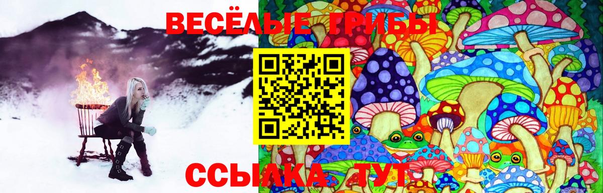Галлюциногенные грибы прущие грибы Зерноград